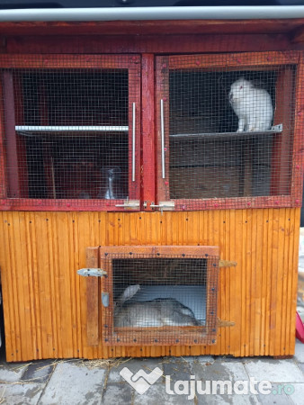 Cușcă pentru iepuri 