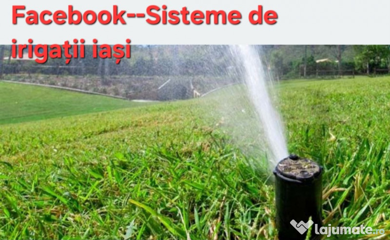 Servicii Peisagistica, Constructii - Amenajări grădini, spații verzi 