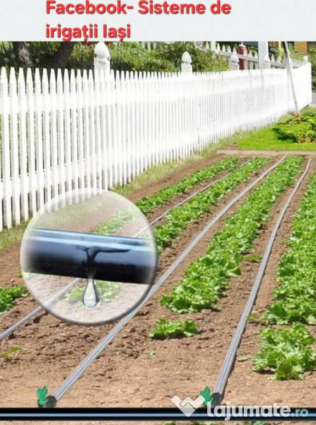 Servicii Peisagistica, Constructii - Amenajări grădini, spații verzi 