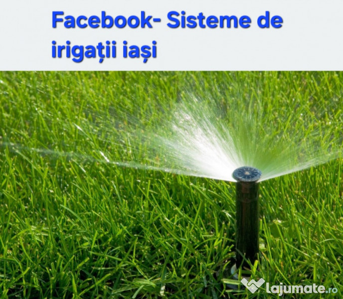 Servicii Peisagistica, Constructii - Amenajări grădini, spații verzi 