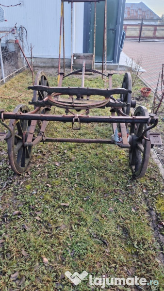 Trasura rustica decorativa 