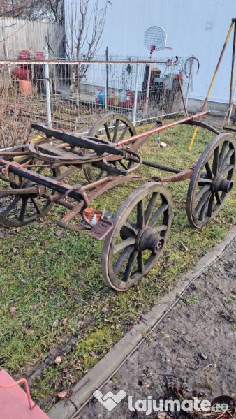 Trasura rustica decorativa 