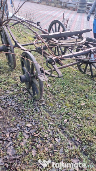 Trasura rustica decorativa 