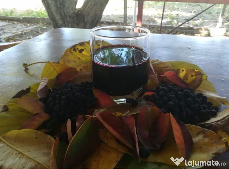 Suc de aronia BIO certificat 