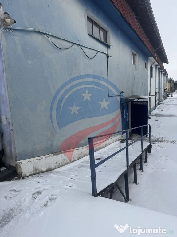Hala industrială premium de vânzare – Zona Bariera V?... 