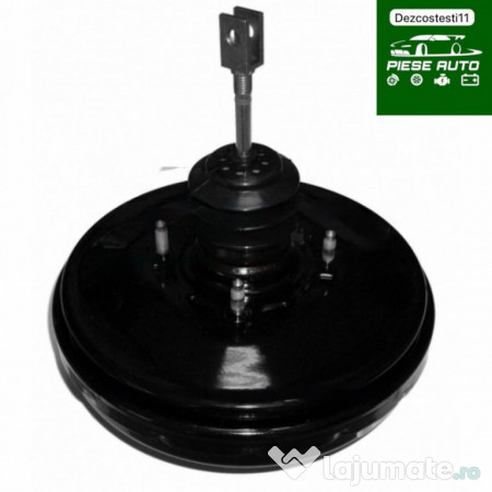 Servofrana Peugeot 206 2001