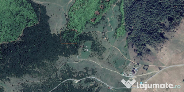 Teren extravilan 11000mp in Paltinis