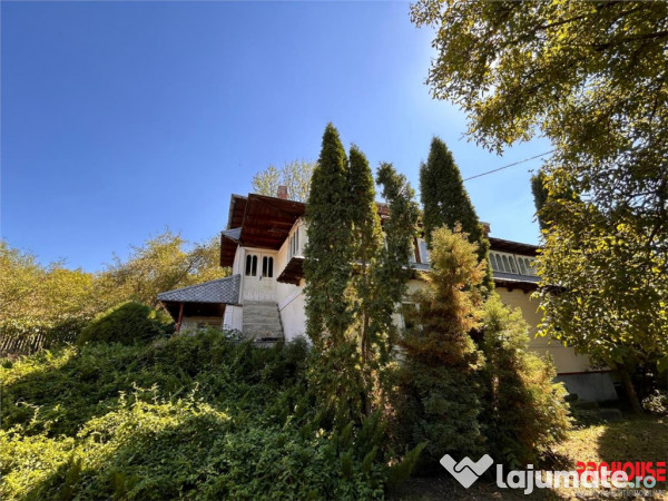 Oportunitate de investitie - 40.000 mp - constructii si tere