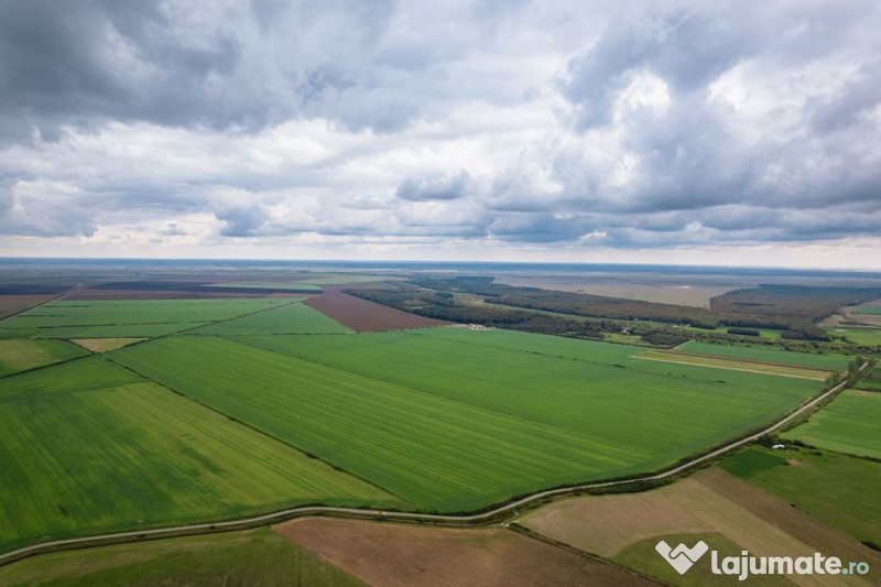 Teren arabil de 532 hectare în Mehedinți 