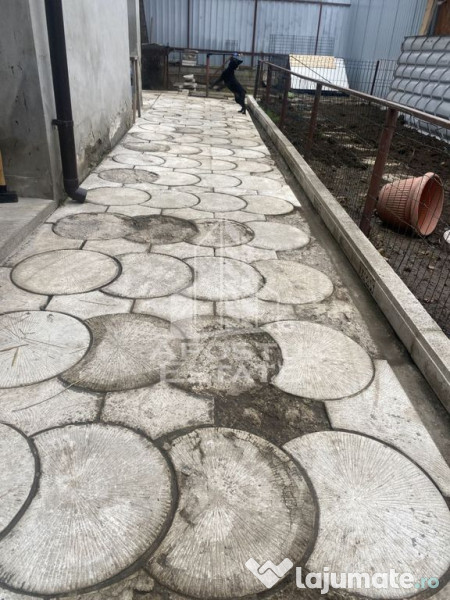 Casa unifamiliala în Timișoara,cu spațiul comercial