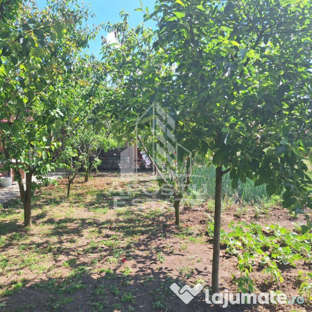 Casa individuala in Ianova,Comuna Remetea Mare