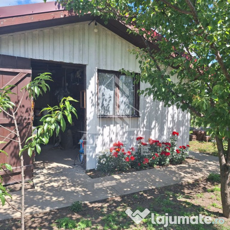Casa individuala in Ianova,Comuna Remetea Mare