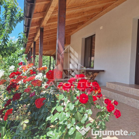 Casa individuala in Ianova,Comuna Remetea Mare