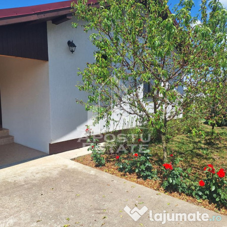 Casa individuala in Ianova,Comuna Remetea Mare