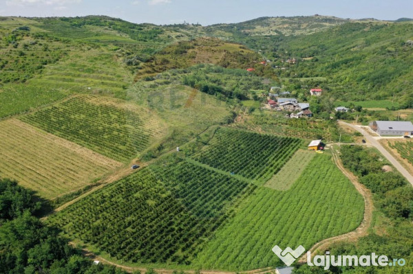 Oportunitate de investitie - Teren de vanzare I 4 ha I ce...