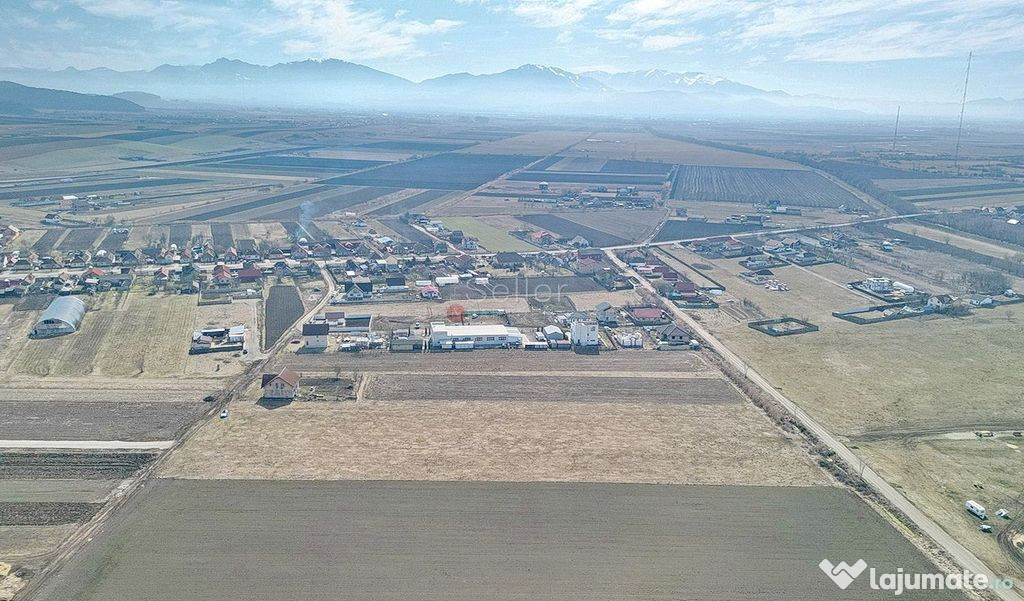 Teren Extravilan, P.U.Z. inceput 