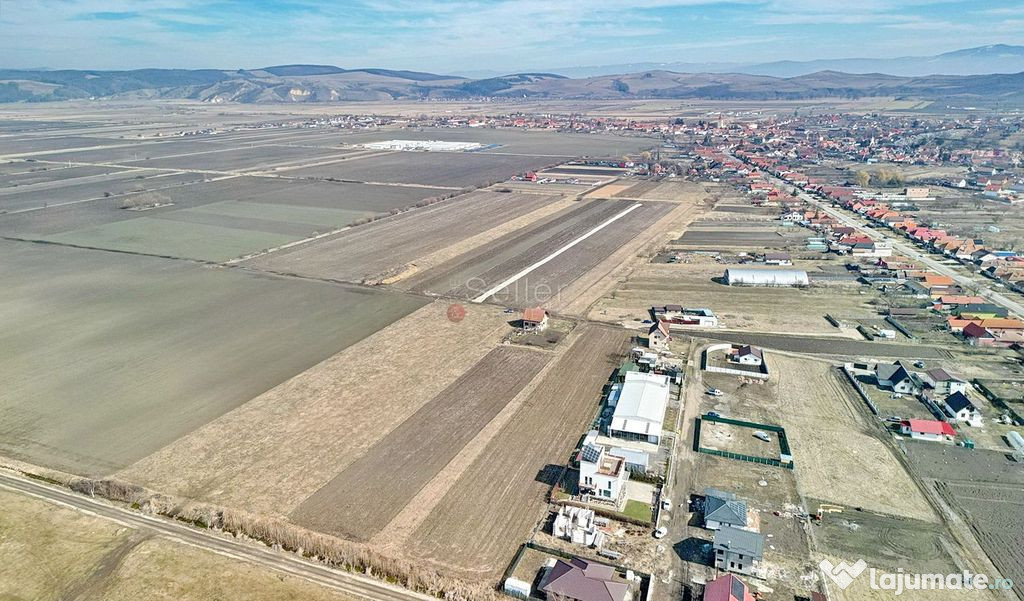 Teren Extravilan, P.U.Z. inceput 