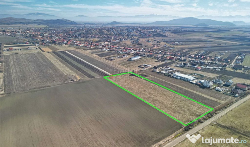 Teren Extravilan, P.U.Z. inceput 