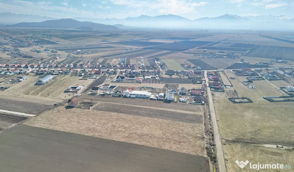 Teren Extravilan, P.U.Z. inceput 