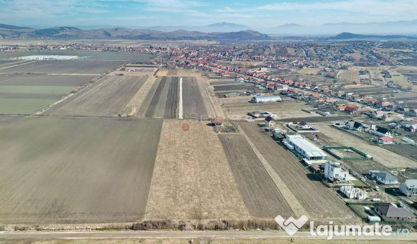 Teren Extravilan, P.U.Z. inceput 