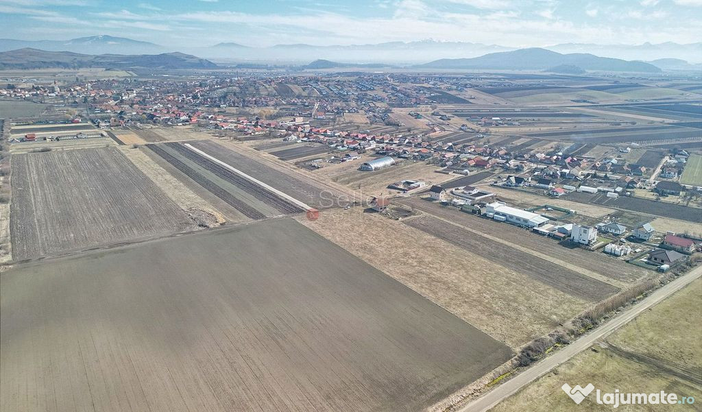 Teren Extravilan, P.U.Z. inceput 