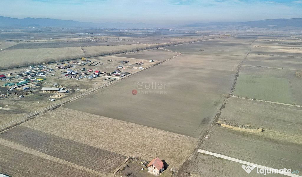 Teren Extravilan, P.U.Z. inceput 