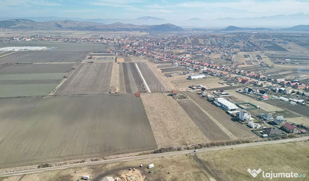 Teren Extravilan, P.U.Z. inceput 