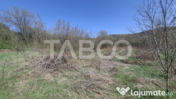 Teren intravilan de vanzare 1450 mp Slimnic Sibiu 