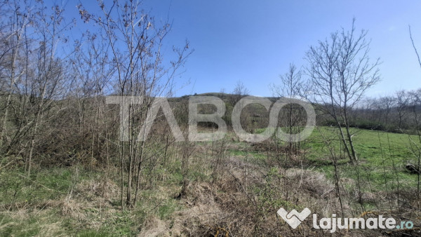 Teren intravilan de vanzare 1450 mp Slimnic Sibiu 