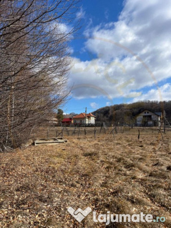 Teren Cicanesti Arges, la 10 KM de Transfagarasan - Comision
