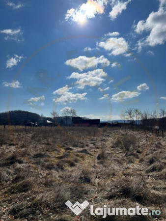 Teren Cicanesti Arges, la 10 KM de Transfagarasan - Comision