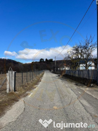 Teren Cicanesti Arges, la 10 KM de Transfagarasan - Comision