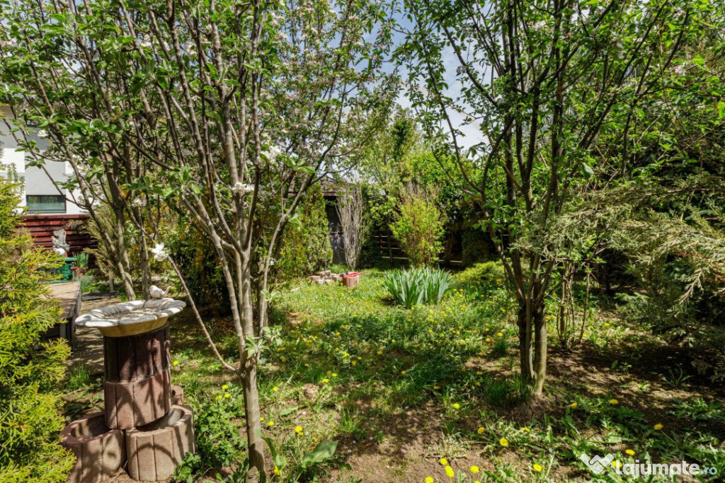 Vila spațioasă și elegantă, aproape de pădure – Tunar 