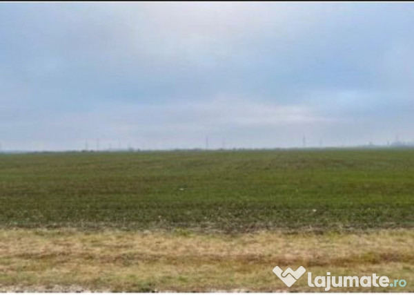 Teren Extravilan Cerna, cota parte 1/5 ID: R2581973 