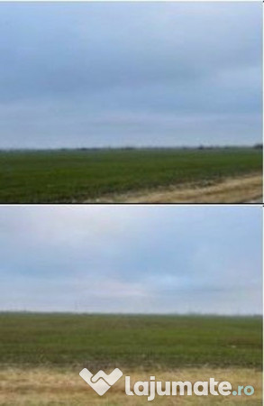 Teren Extravilan Cerna, cota parte 1/5 ID: R2581973 