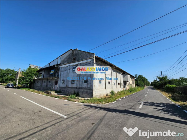 Moara cu spatii Industriale situate in comuna Daia jud Giur 
