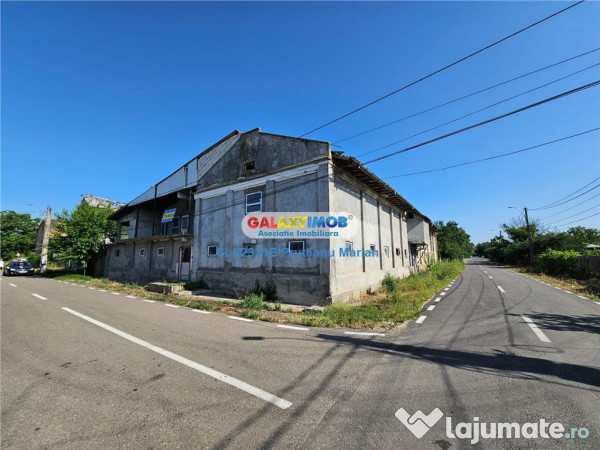 Moara cu spatii Industriale situate in comuna Daia jud Giur 