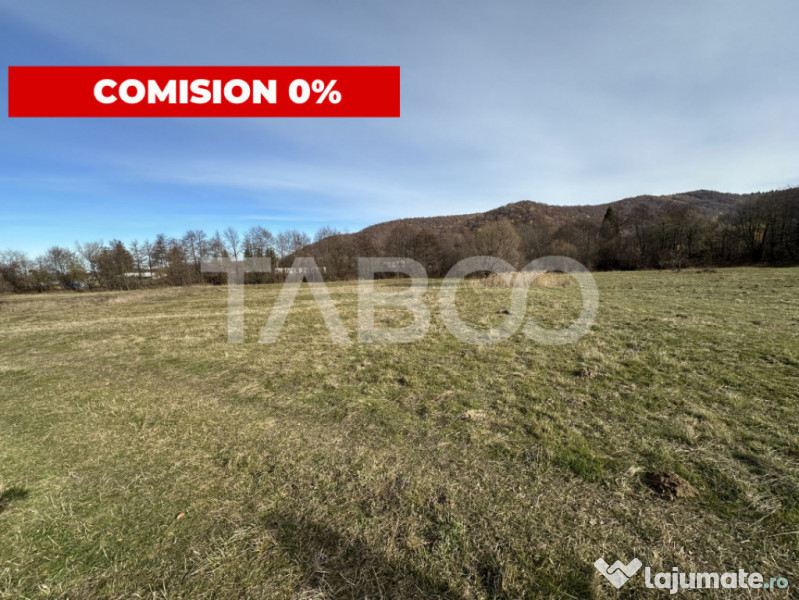 COMISION 0% Teren extravilan 1630 mp langa Rau pe Valea Sebe 