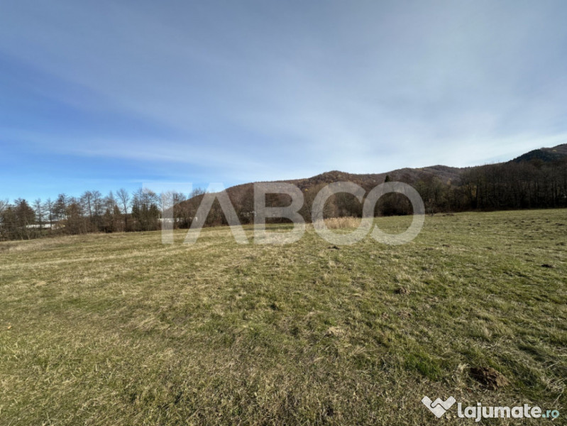 COMISION 0% Teren extravilan 1630 mp langa Rau pe Valea Sebe 