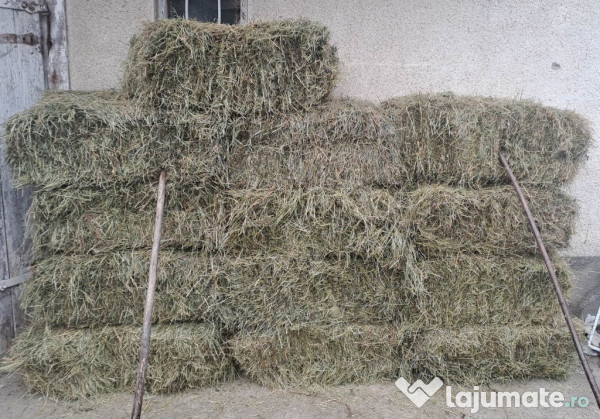 Baloti de lucerna si otava 