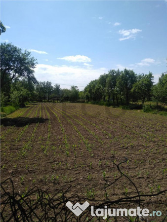 Casa in Talpos, 3 camere 