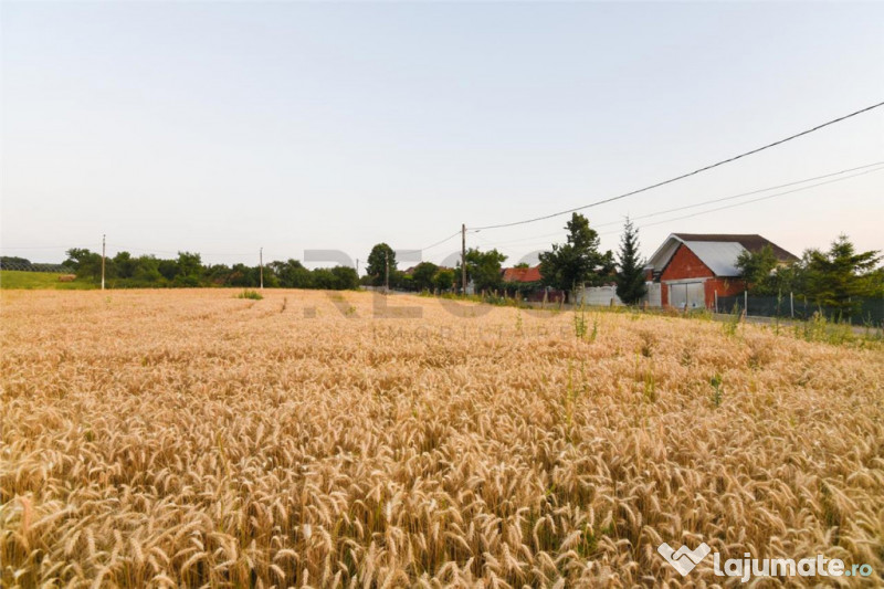 RECO Teren intravilan pentru casa Lazareni 