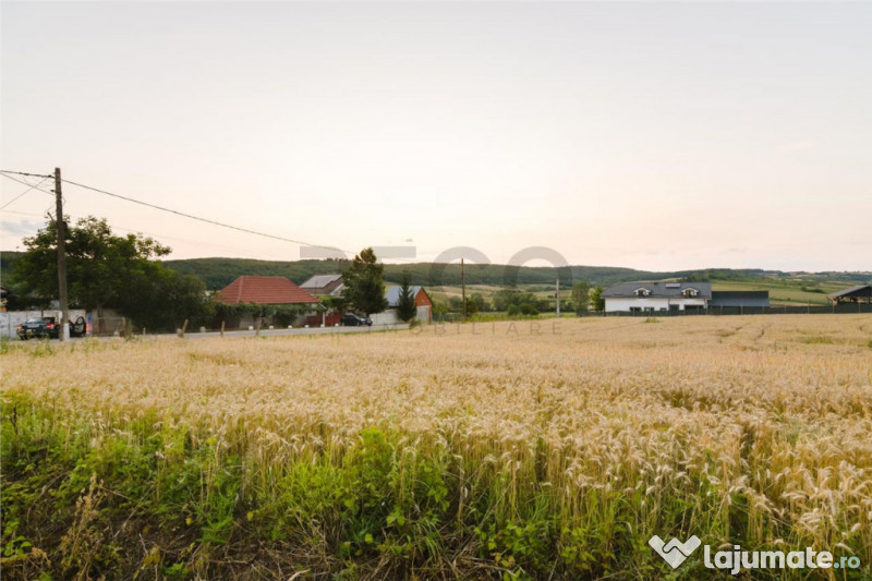 RECO Teren intravilan pentru casa Lazareni 