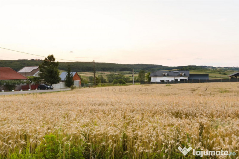 RECO Teren intravilan pentru casa Lazareni 