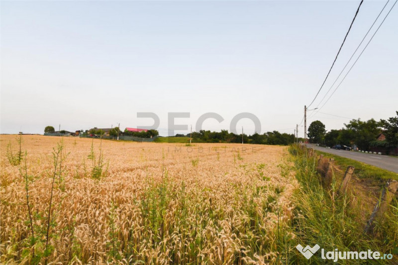 RECO Teren intravilan pentru casa Lazareni 