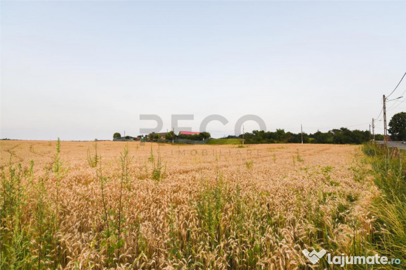 RECO Teren intravilan pentru casa Lazareni 