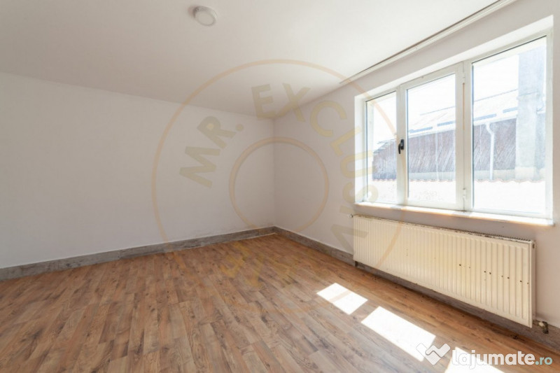 Casa cu 9 camere, pretabila business - Stefanesti, Drumul Mo