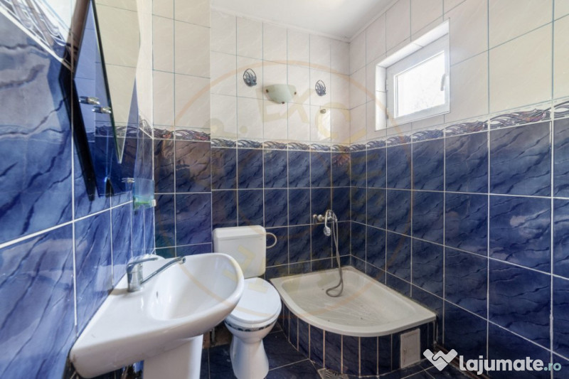 Casa cu 9 camere, pretabila business - Stefanesti, Drumul Mo