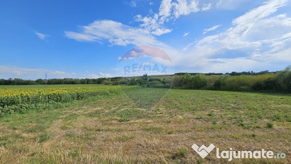 Teren extravilan 12000 mp- Pădureni-Șendriceni, Botoșani 