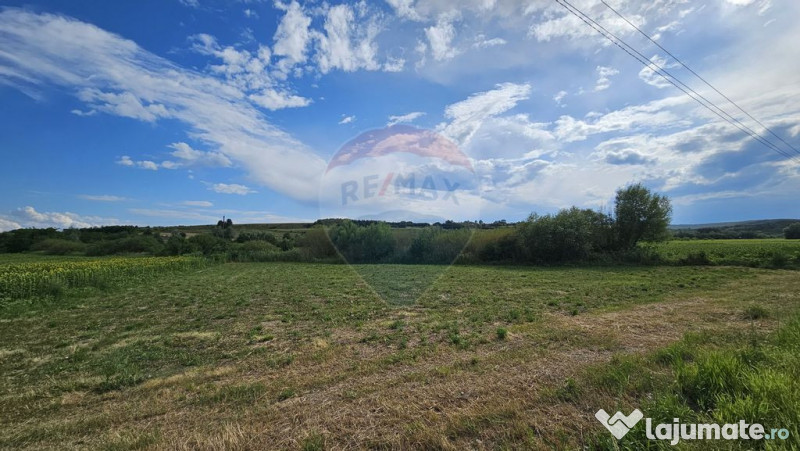 Teren extravilan 12000 mp- Pădureni-Șendriceni, Botoșani 